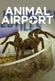 Poster for Animal Airport