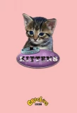 Poster for Meet the Kittens