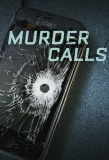Poster for Murder Calls