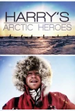 Poster for Harry's Arctic Heroes