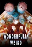 Poster for Wonderfully Weird