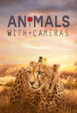 Poster for Animals with Cameras