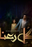Poster for Gul-e-Rana
