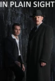 Poster for In Plain Sight