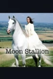 Poster for The Moon Stallion