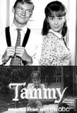 Poster for Tammy
