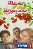 Poster for Рябины гроздья алые