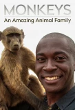 Poster for Monkeys: An Amazing Animal Family