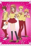 Poster for Gokujou!! Mecha Mote Iinchou