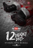 Poster for 12 Deadly Days
