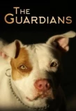 Poster for The Guardians