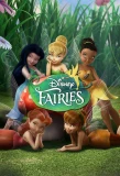 Poster for The Adventures of Disney Fairies