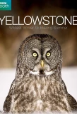 Poster for Yellowstone: Wildest Winter to Blazing Summer