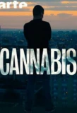 Poster for Cannabis