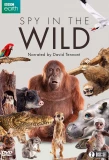 Poster for Spy in the Wild