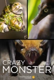 Poster for Crazy Monster