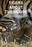 Poster for Tigers About the House