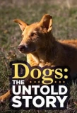 Poster for Dogs: The Untold Story