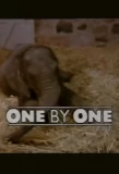 Poster for One by One