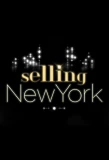 Poster for Selling New York