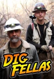 Poster for Digfellas