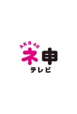 Poster for AKB48 Nemousu TV