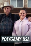 Poster for Polygamy USA