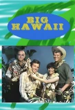 Poster for Big Hawaii