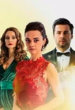 Poster for Evlat Kokusu
