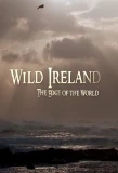 Poster for Wild Ireland: The Edge of the World