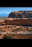 Poster for Three Wives, One Husband