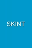 Poster for Skint