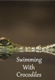 Poster for Swimming with Crocodiles