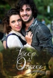 Poster for A Força do Querer
