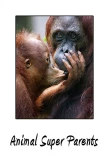 Poster for Animal Super Parents