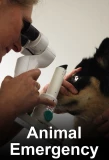 Poster for Animal Emergency