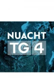 Poster for Nuacht TG4