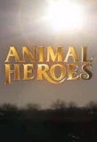 Poster for Animal Heroes