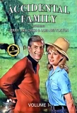 Poster for Accidental Family