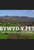 Poster for Bywyd y Fet