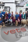 Poster for Vets 24/7