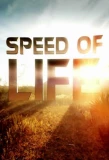 Poster for Speed of Life