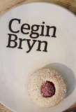Poster for Cegin Bryn