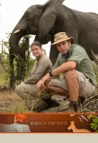 Poster for Born in the Wild