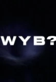 Poster for Would You Believe?