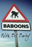Poster for Baboons with Bill Bailey