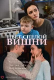 Poster for Цвет спелой вишни