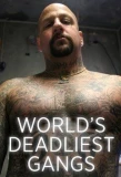 Poster for World's Deadliest Gangs