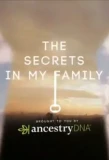Poster for The Secrets in My Family