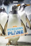 Poster for Penguins on a Plane: Great Animal Moves